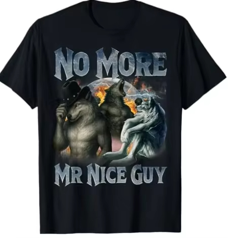 Geen Mr Nice Guy meer Grappige - Street Fashion For Short Guys recensie en prijs